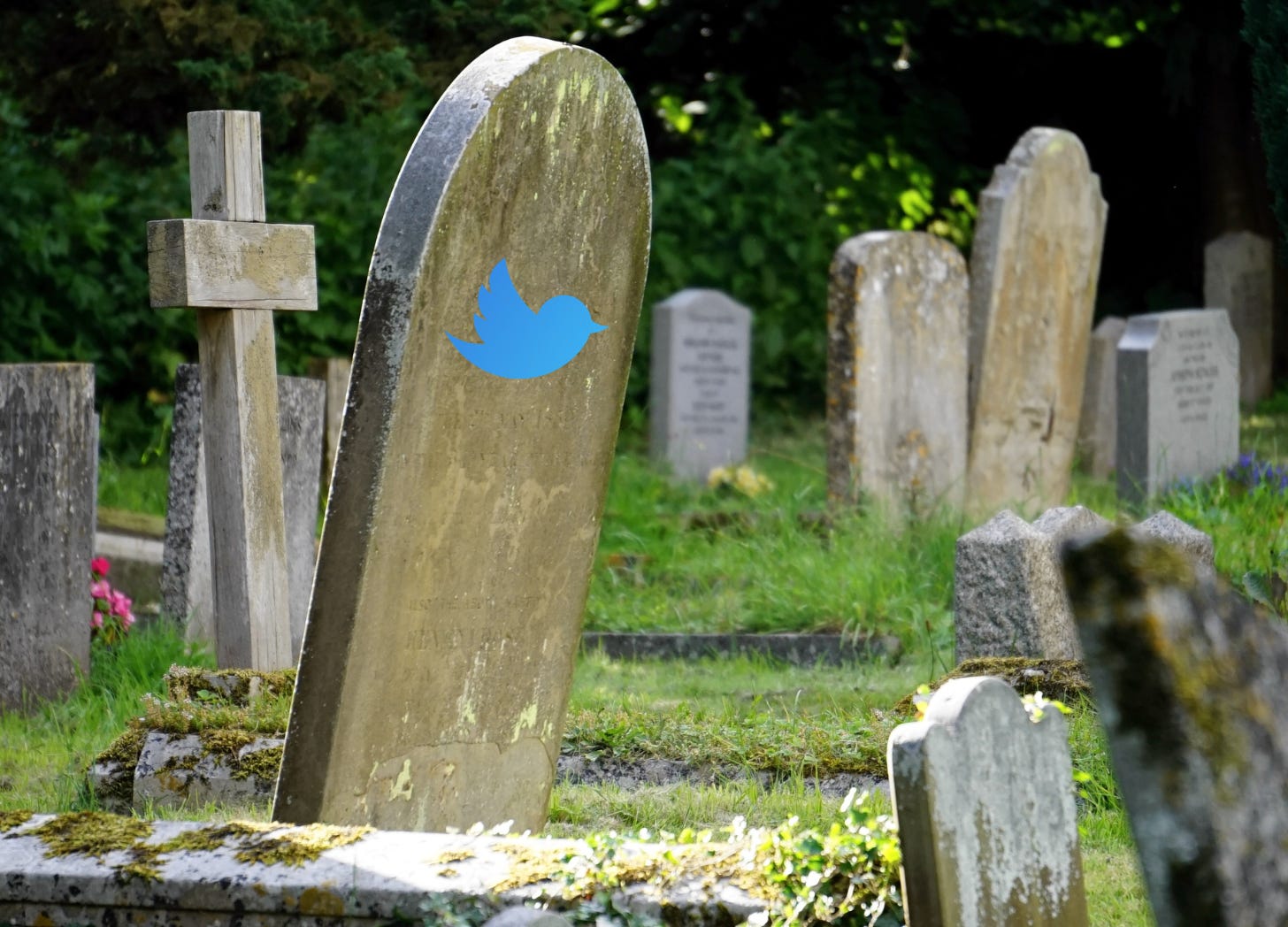 gravestone in focus in a graveyard. twitter logo superimposed on it
