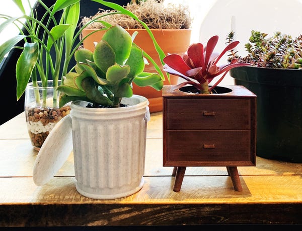 I picked these two cute 3D planters up at my local plant swap meetup. It turns out the maker also has an Etsy shop! I've linked it through the photo above.