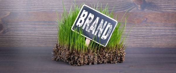 Brand Strategy 101: 7 Essentials for Strong Company Branding