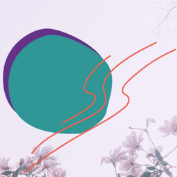 Highly Sensitive Person revelation