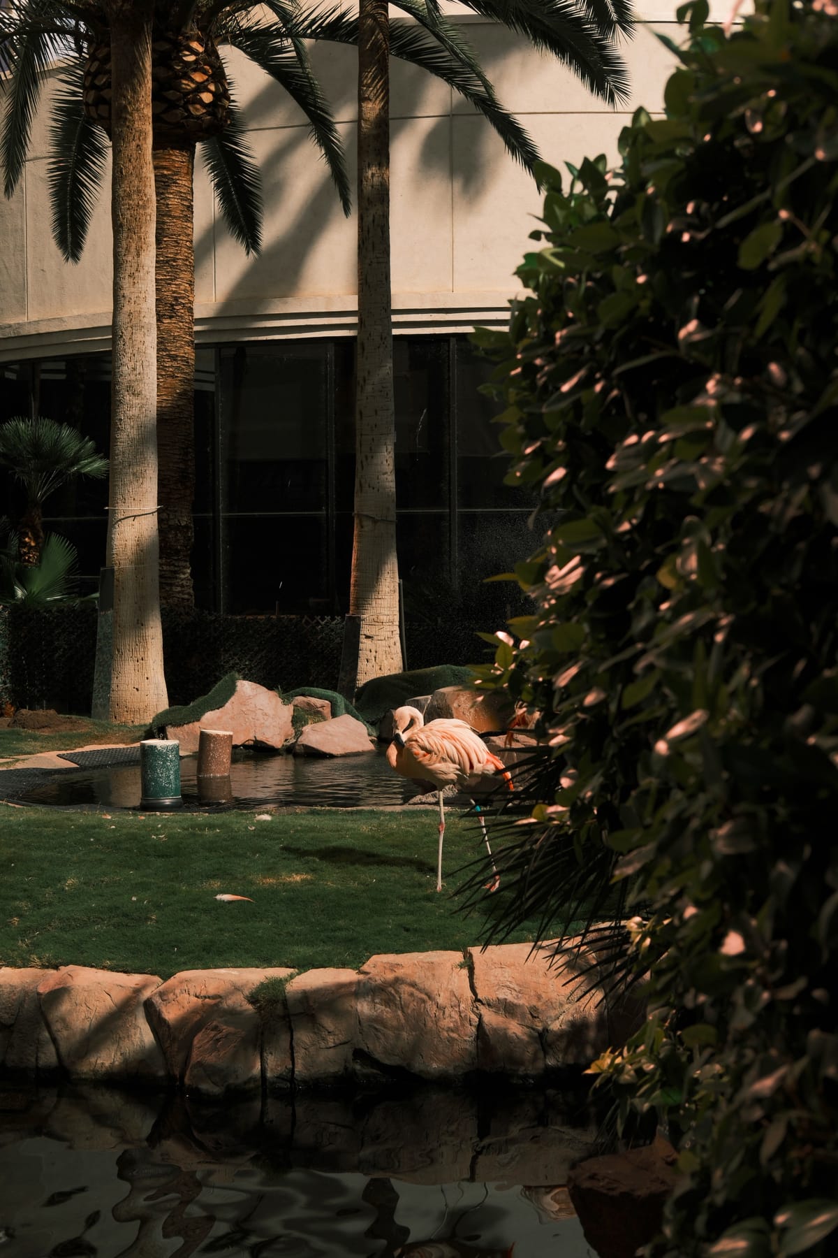 Self-criticism & niching down