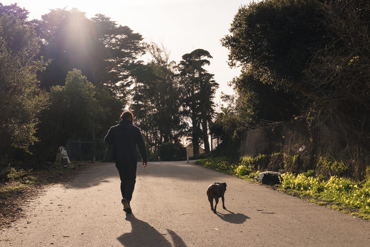 tanjennts letter no. 033: productivity