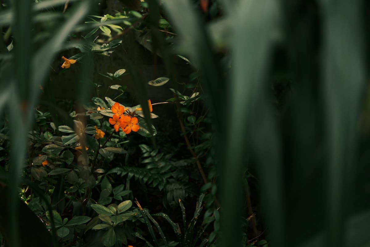 tanjennts letter no. 034