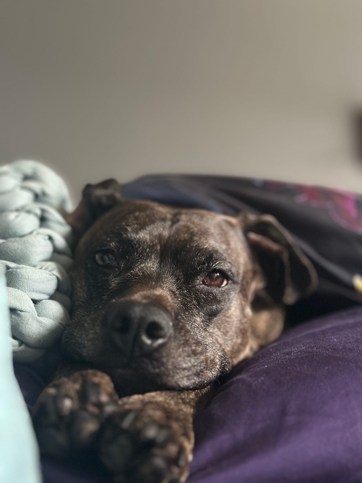 Welcome paid subscribers!