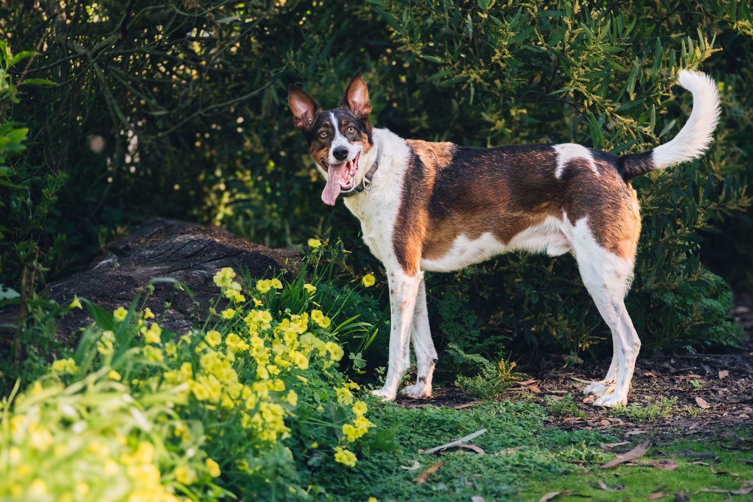 Highly Sensitive Person revelation